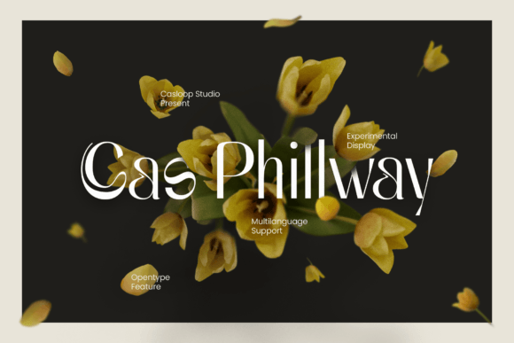 Cas Philway: A Premium Display Font for Makers